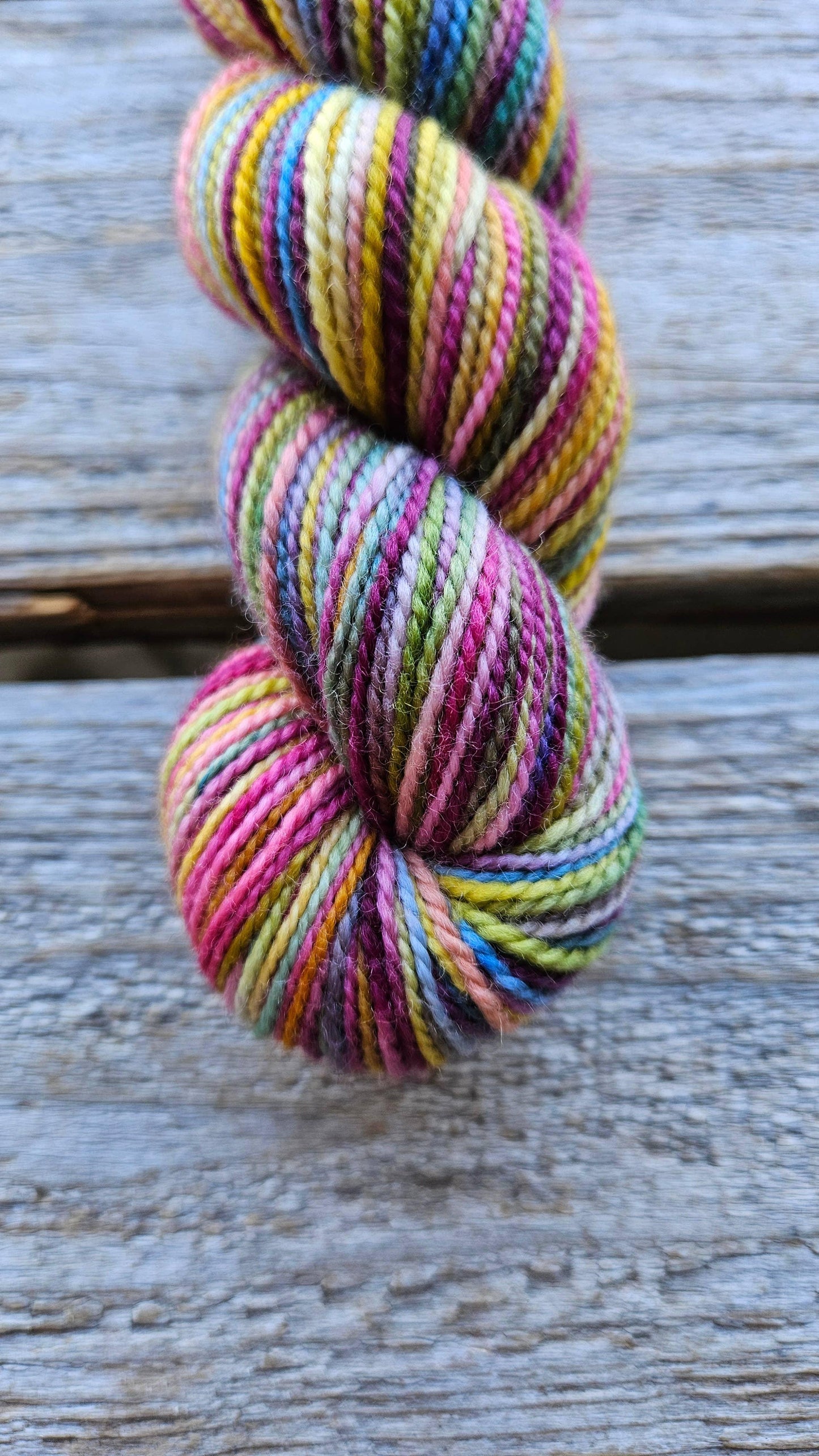 Koigu KPPPM Variegated Yarn